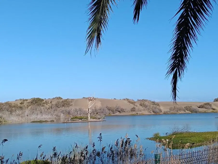 Weisshorn Bungalow 40 Maspalomas  Spain